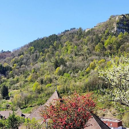 L'Aristoloche Apartment Salins-les-Bains Luaran gambar